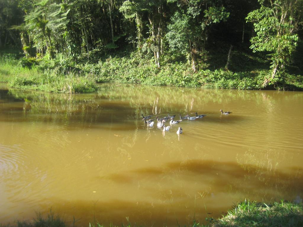 Pousada Recanto Dos Pinheiros Pilar do Sul 外观 照片