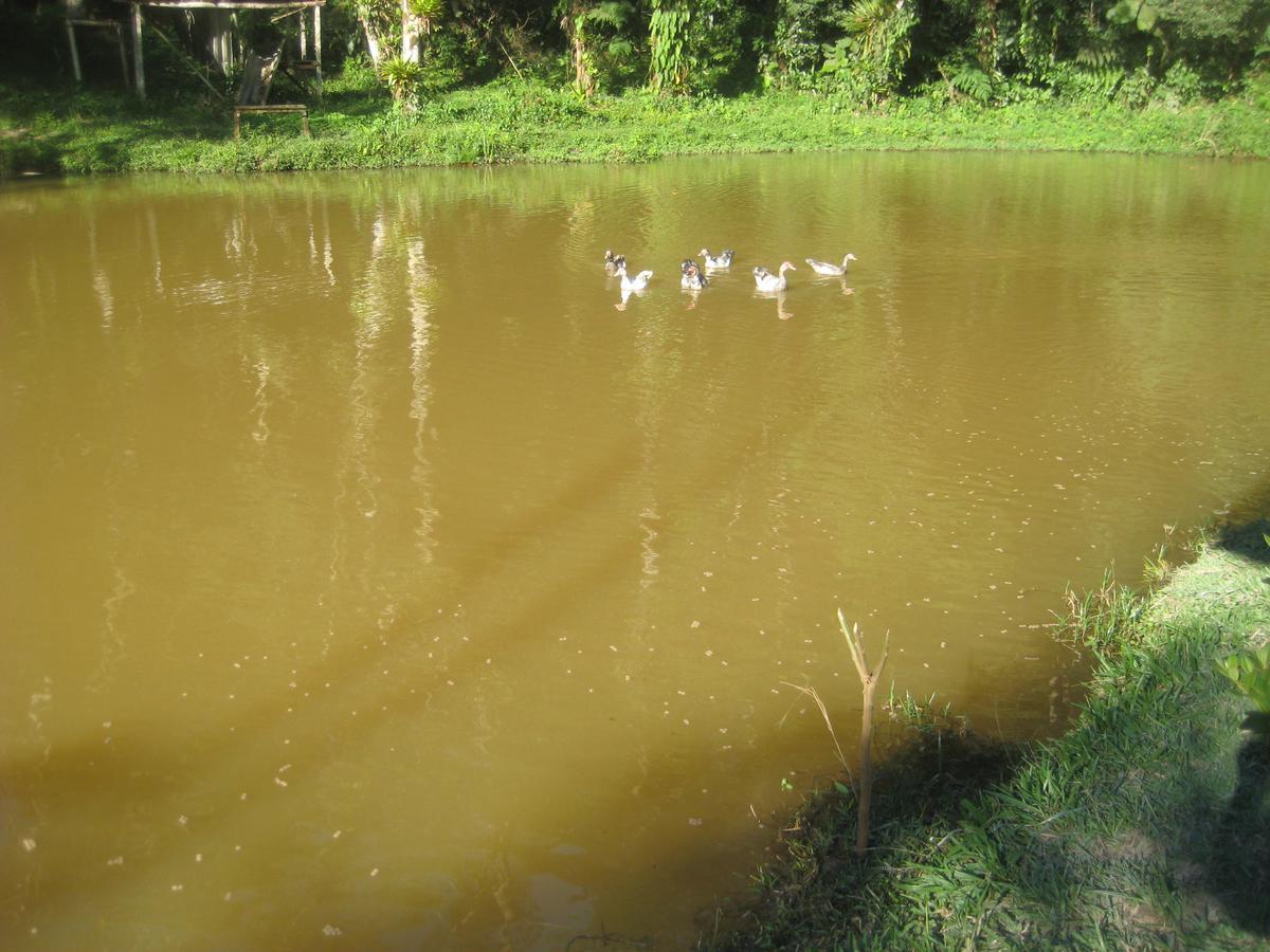 Pousada Recanto Dos Pinheiros Pilar do Sul 外观 照片