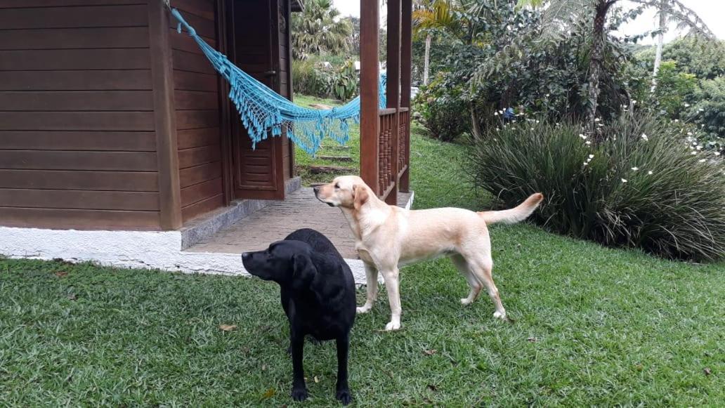 Pousada Recanto Dos Pinheiros Pilar do Sul 外观 照片